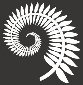 stribrne kapradi maori 01