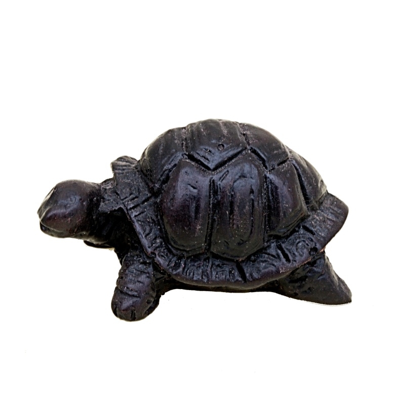 ŽELVIČKA SUCHOZEMSKÁ MALÁ