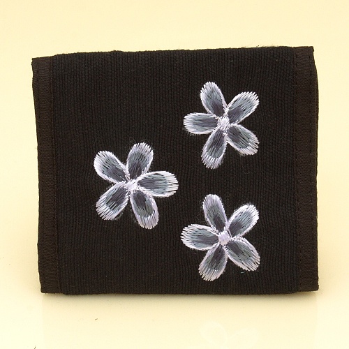 PENĚŽENKA KYTIČKY ČERNÁ